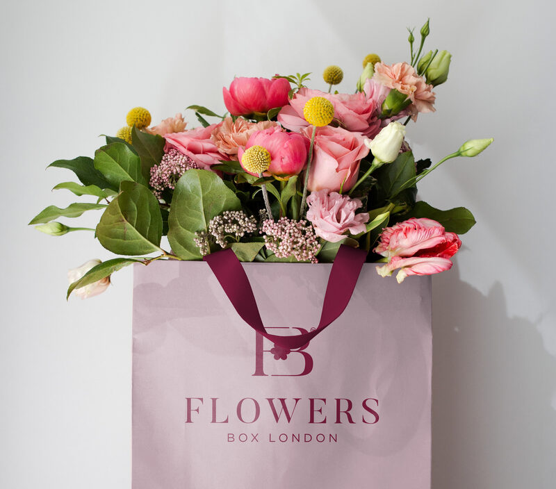 Final logo design files and brand identity delivery
