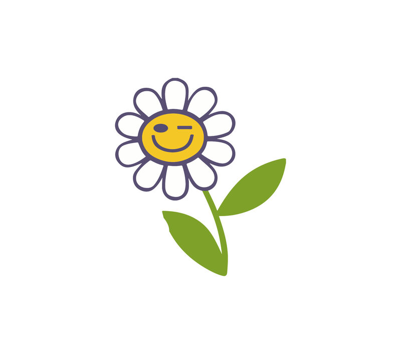 Daisy Chain - Case Study